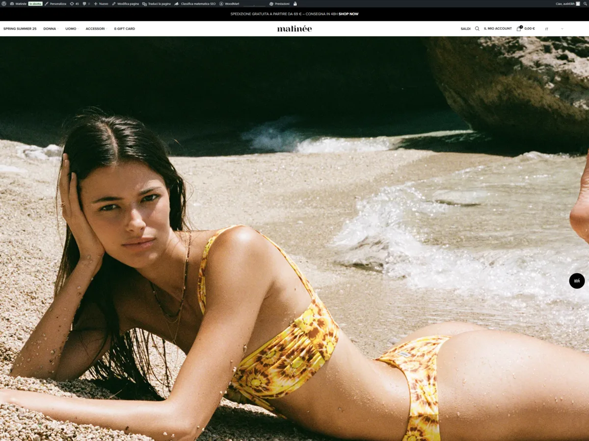 Screenshot progetto Matinee WP